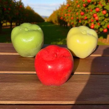 Apple Mold