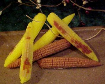 Miniature Corn on the Cob Silicone Mold