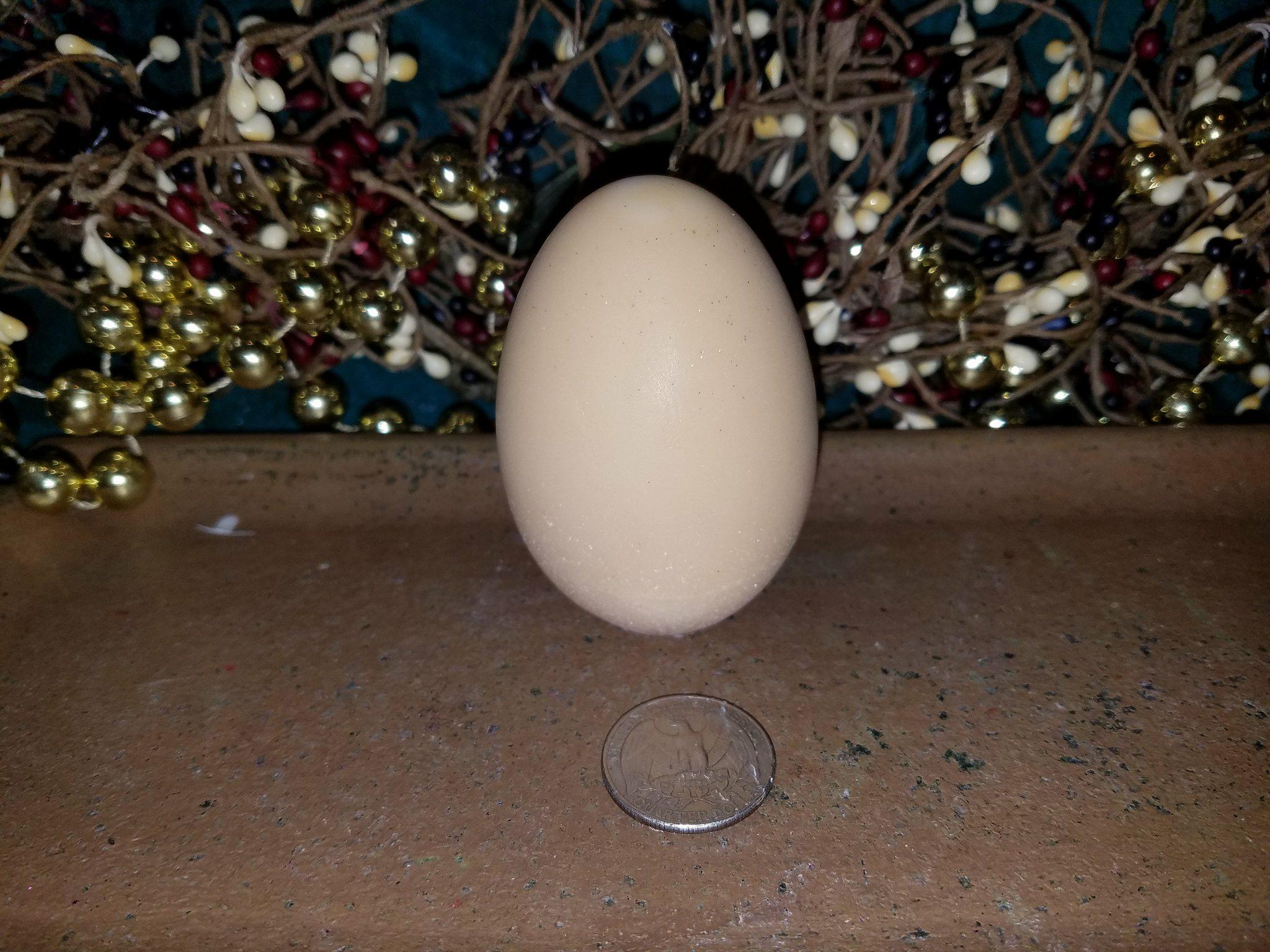 Egg Large Soap 1 Cavity Silicone Mold 7036