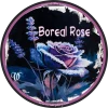 Boreal Rose